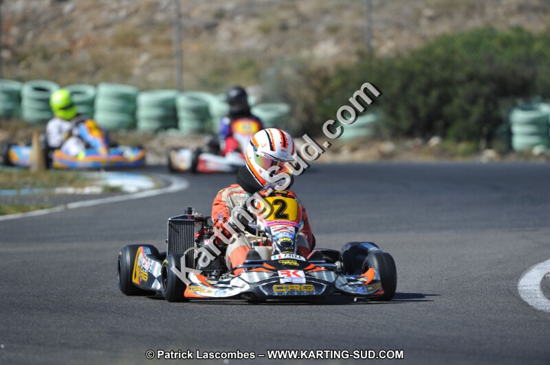 DSC (994).JPG